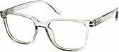 Leesbril Vista Bonita Cubo met blauw licht filter-Kadushi Silver-+2.50