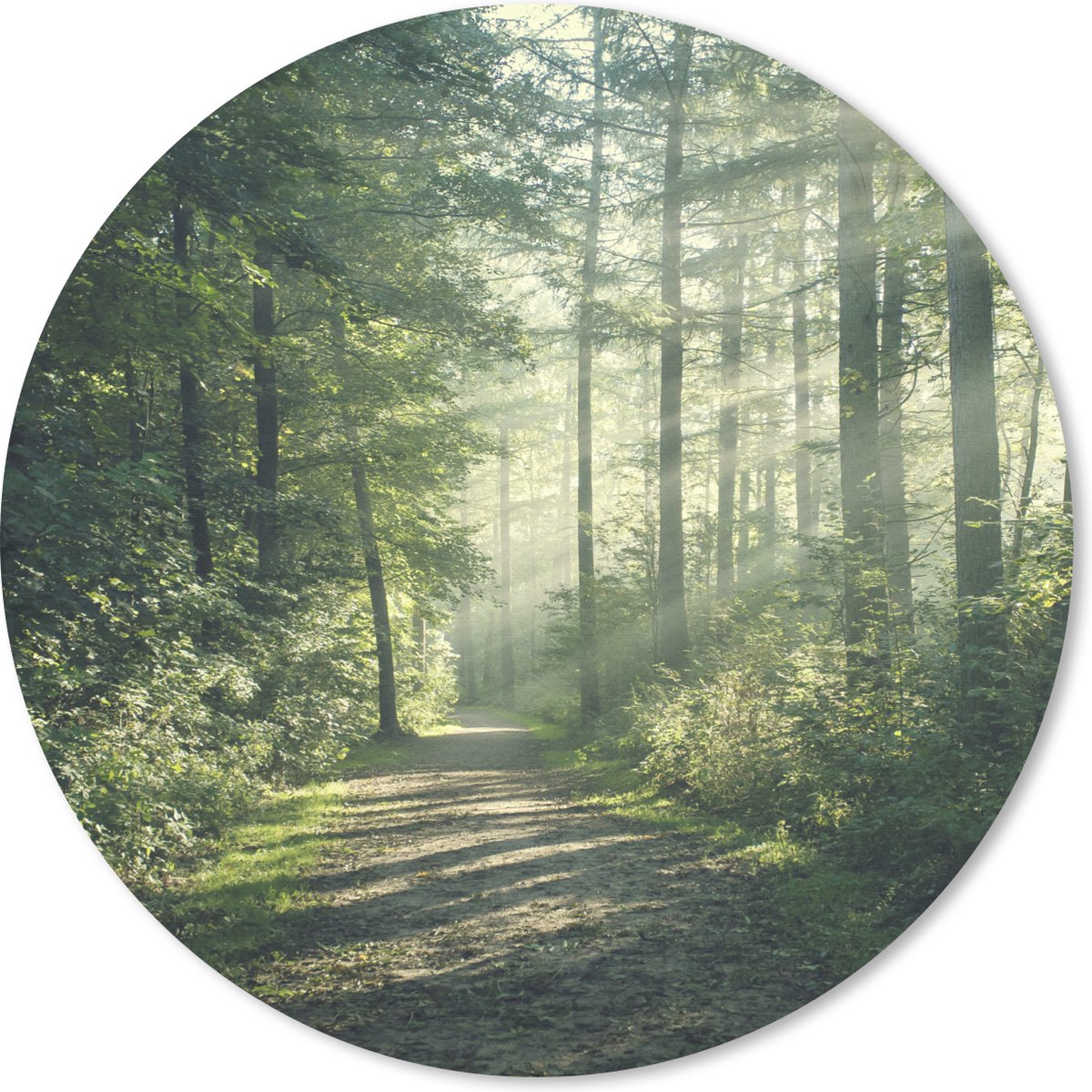 Muismat rond 40x40 cm - Mousepad Bos - Licht - Pad - Ronde muismatten