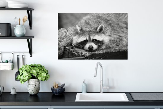 Tableau Peinture Raton Laveur Couché - noir et blanc - 90x60 cm - Décoration murale