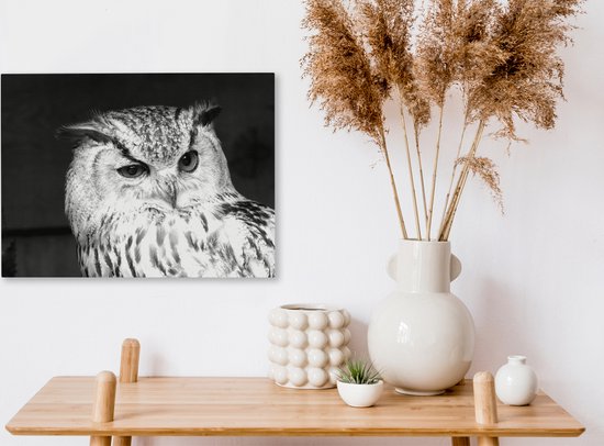 Canvas schilderij 40x30 cm - Wanddecoratie Bruine uil geeft een knipoog - Muurdecoratie woonkamer - Slaapkamer decoratie - Kamer accessoires - Schilderijen op canvas