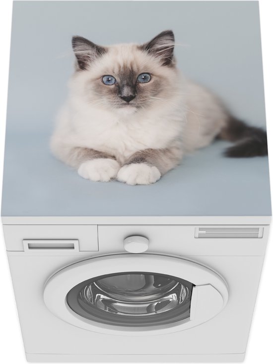 Tapis De Protection Machine à Laver Motif Chat - 50,8 X 61 Cm, Caoutchouc Antidérapant, Imperméable, Pour Buanderie