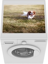 Wasmachine beschermer mat - Een vrouwelijke Cavalier King Charles-spaniël in het gras - Breedte 55 cm x hoogte 45 cm