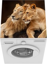 Wasmachine beschermer mat - Leeuw - Knuffel - Stenen - Breedte 60 cm x hoogte 60 cm