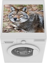 Wasmachine beschermer mat - Close-up van een coyote - Breedte 55 cm x hoogte 45 cm
