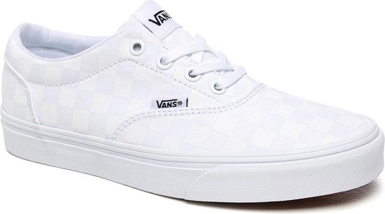 vans canvas low top