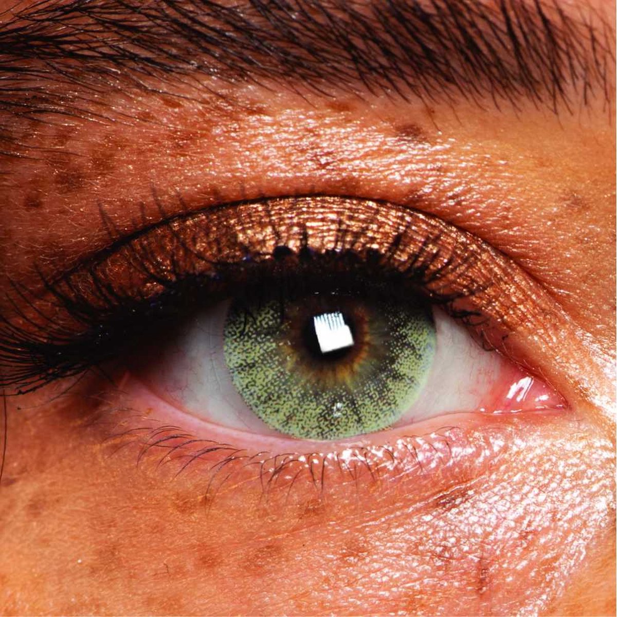 MesmerEyez - Windsor Jade - 1 dag lens