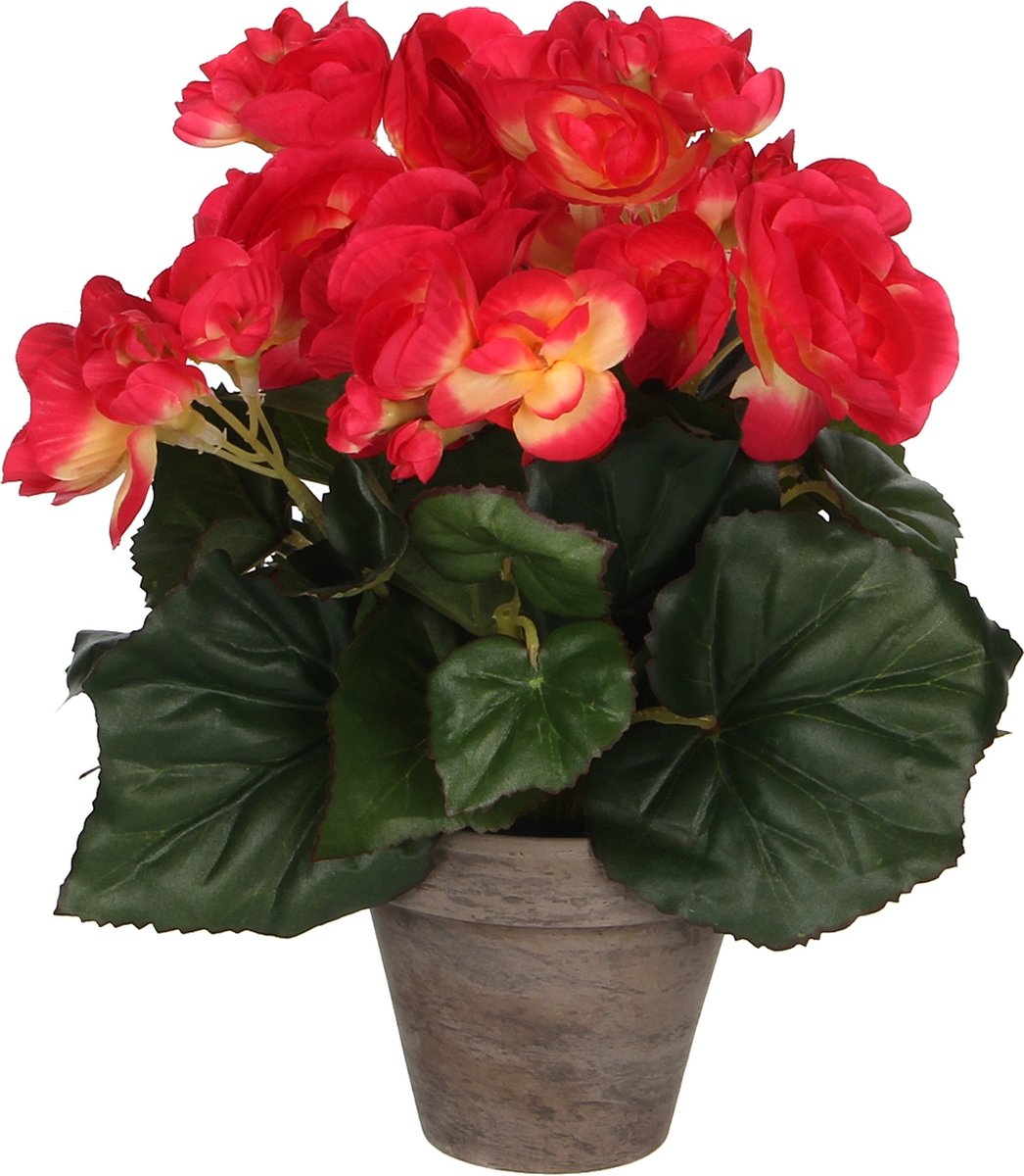 Mica Decorations Begonia Kunstplant in Bloempot Stan - H25 x Ø20 cm - Donkerroze Donker roze