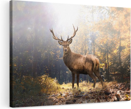 Artaza Canvas Schilderij Hert Staand in een Herfstbos - 120x80 - Groot - Foto Op Canvas - Wanddecoratie Woonkamer