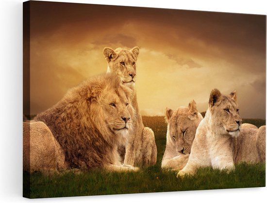 Artaza Canvas Schilderij Leeuwen Familie in Afrika - Leeuw - 90x60 - Foto Op Canvas - Canvas Print - Muurdecoratie