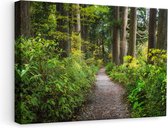 Artaza - Peinture Sur Toile - Sentier Dans La Forêt - 60x40 - Photo Sur Toile - Impression Sur Toile