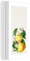 Canvas Schilderij Eten - Peer - Fruit - 20x40 cm - Wanddecoratie