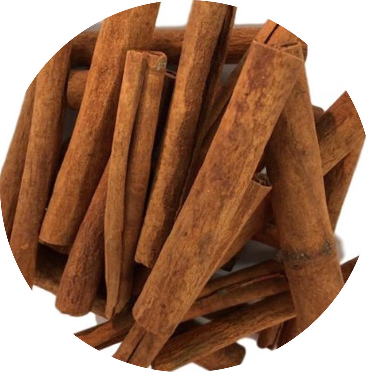 Goedkoopste Van Beekum Specerijen - Kaneelstokjes - 8 KG - Zak (bulk verpakking