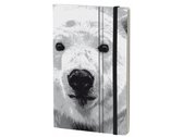notitieboek Polar Bear 21 x 13 cm karton/ivoor papier