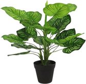 kunstplant Maranta L 40 x 45 cm zijde groen/zwart