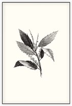 Kastanje zwart-wit (Leaf of Chestnut) - Foto op Akoestisch paneel - 80 x 120 cm