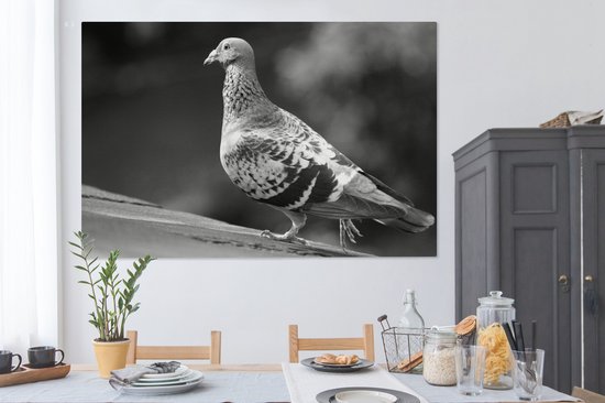Tableau sur toile 150x100 cm - Décoration murale Pigeon voyageur sur un toit - noir et blanc - Décoration murale salon - Décoration chambre - Accessoires chambre - Peintures