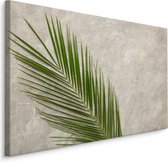 Schilderij - Palm Blad op een betonnen achtergrond, 5 maten