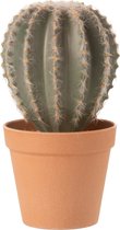 Cactus - Cactus | kunststof | groen | 15x13x (h)24 cm