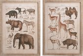 Wanddecoratie | hout | bruin | 54x1.7x (h)74.5 cm