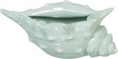 Schelp - Schelp | porselein | groen | 23.5x14.5x (h)9 cm