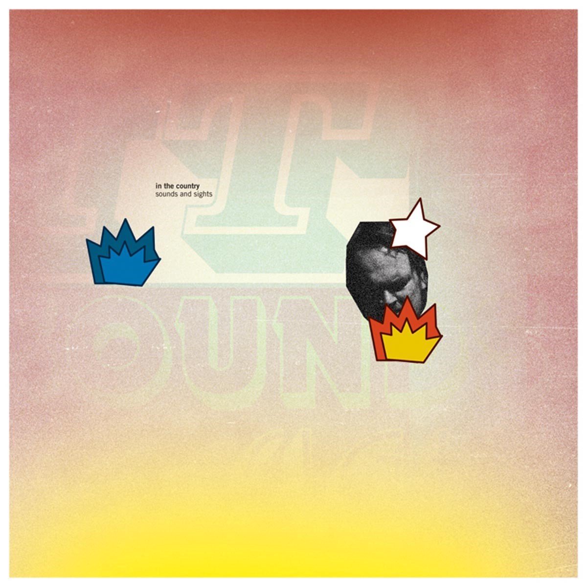 In The Country - Sounds And Sights (2 LP)