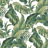 Behang tropische bladeren - Behang - Muurdecoratie - Wallpaper - Vliesbehang - Amazzonia - 0,53 x 10,05 M.