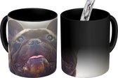 Magische Mok - Foto op Warmte Mok - Franse Bulldog - Zwart - Zon - 350 ML