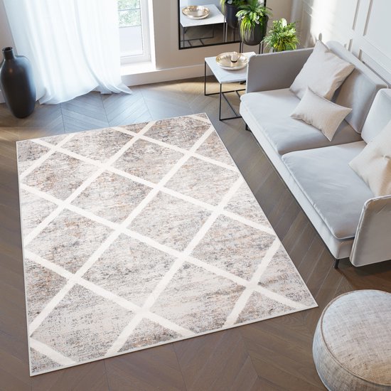 Tapiso Valley Rug Tapis de salon géométrique beige marron taille - 120x170