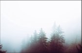 Walljar - Foggy Woods - Muurdecoratie - Poster met lijst