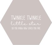 Muurhexagon twinkle twinkel stone Dibond - Aanbevolen / 24 x 20 cm