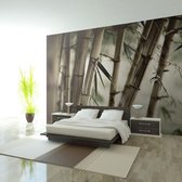 Fotobehang - Fog and bamboo forest.