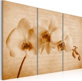 Schilderij - orchidee (vintage).