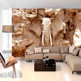 Fotobehang - Stone Elephant (South Africa).