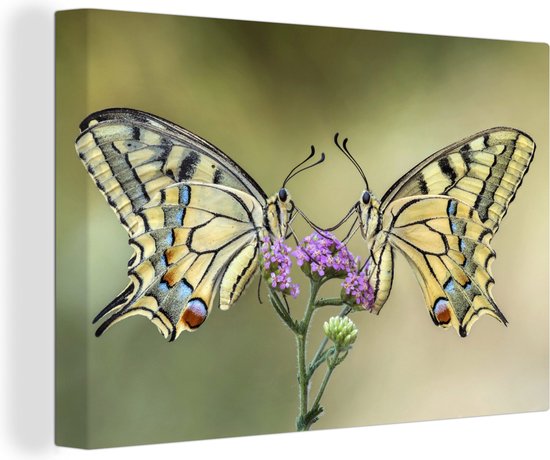 Canvas schilderij 140x90 cm - Wanddecoratie Vlinders - Bloemen - Insecten - Muurdecoratie woonkamer - Slaapkamer decoratie - Kamer accessoires - Schilderijen