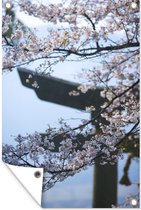 Affiche de jardin Cerisier en fleurs près d'un torii japonais - 80x120 cm - Jardin