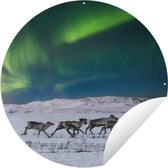 Tuincirkel Noorderlicht boven wilde rendieren - 150x150 cm - Ronde Tuinposter - Buiten