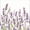 Ambiente - Lavender Shades White - Papieren lunch servetten