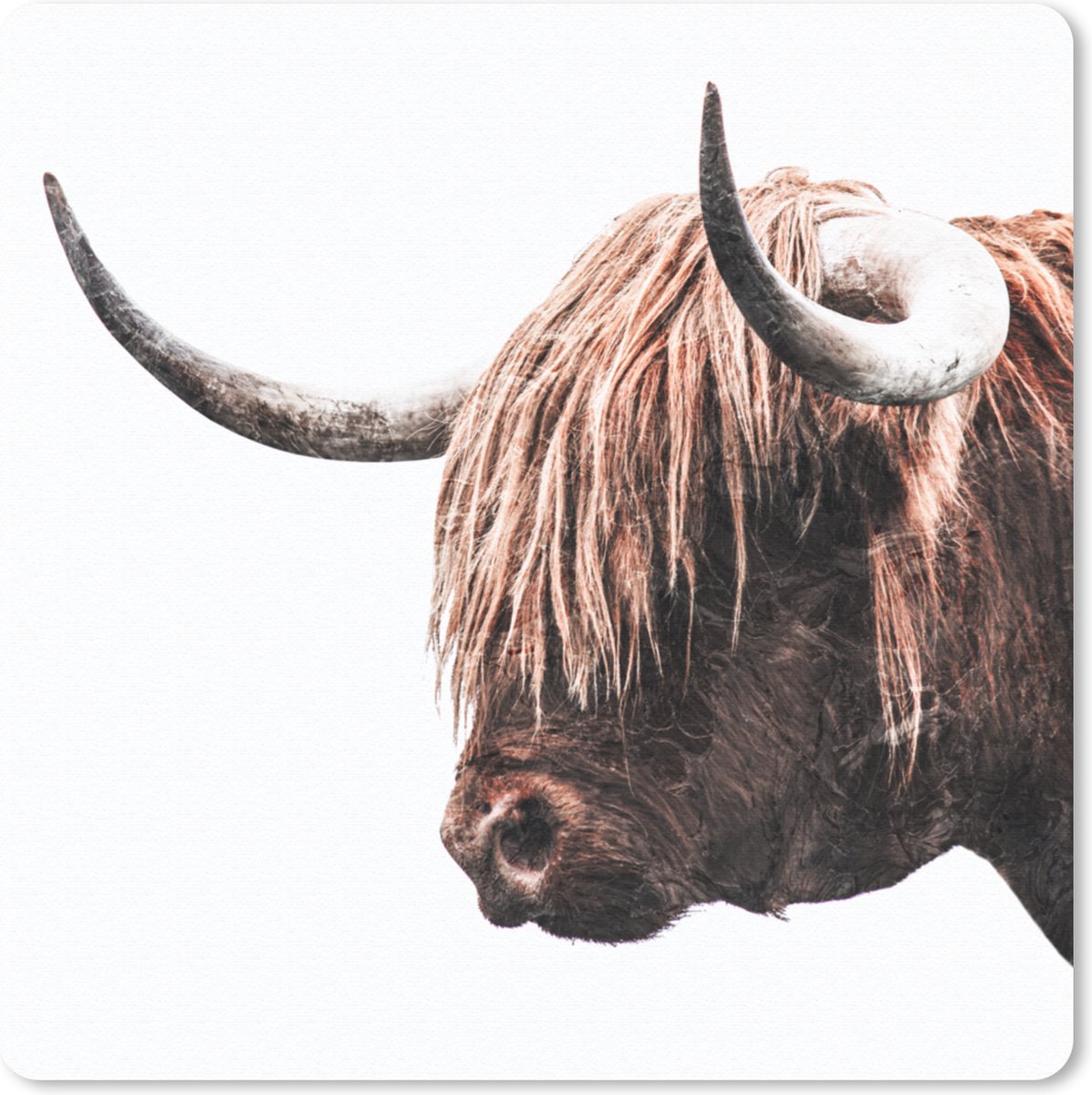 Muismat 20x20 cm - Mousepad Schotse Hooglander - Dieren - Hoorns - Muismatten
