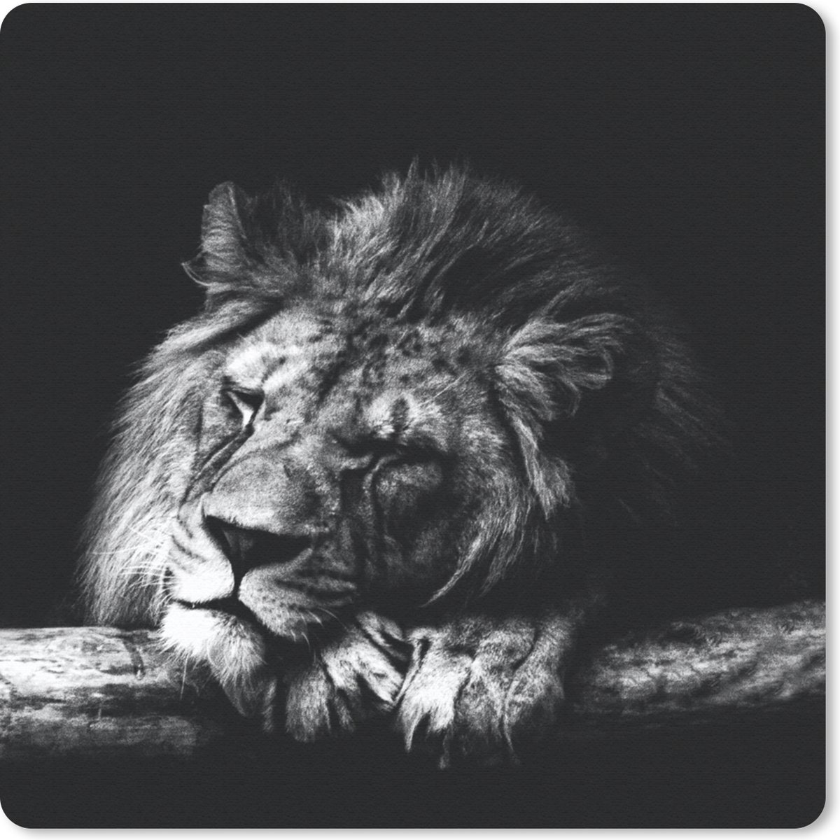 Muismat 20x20 cm - Mousepad Leeuw - Boom - Slapen - Zwart - Wit - Muismatten