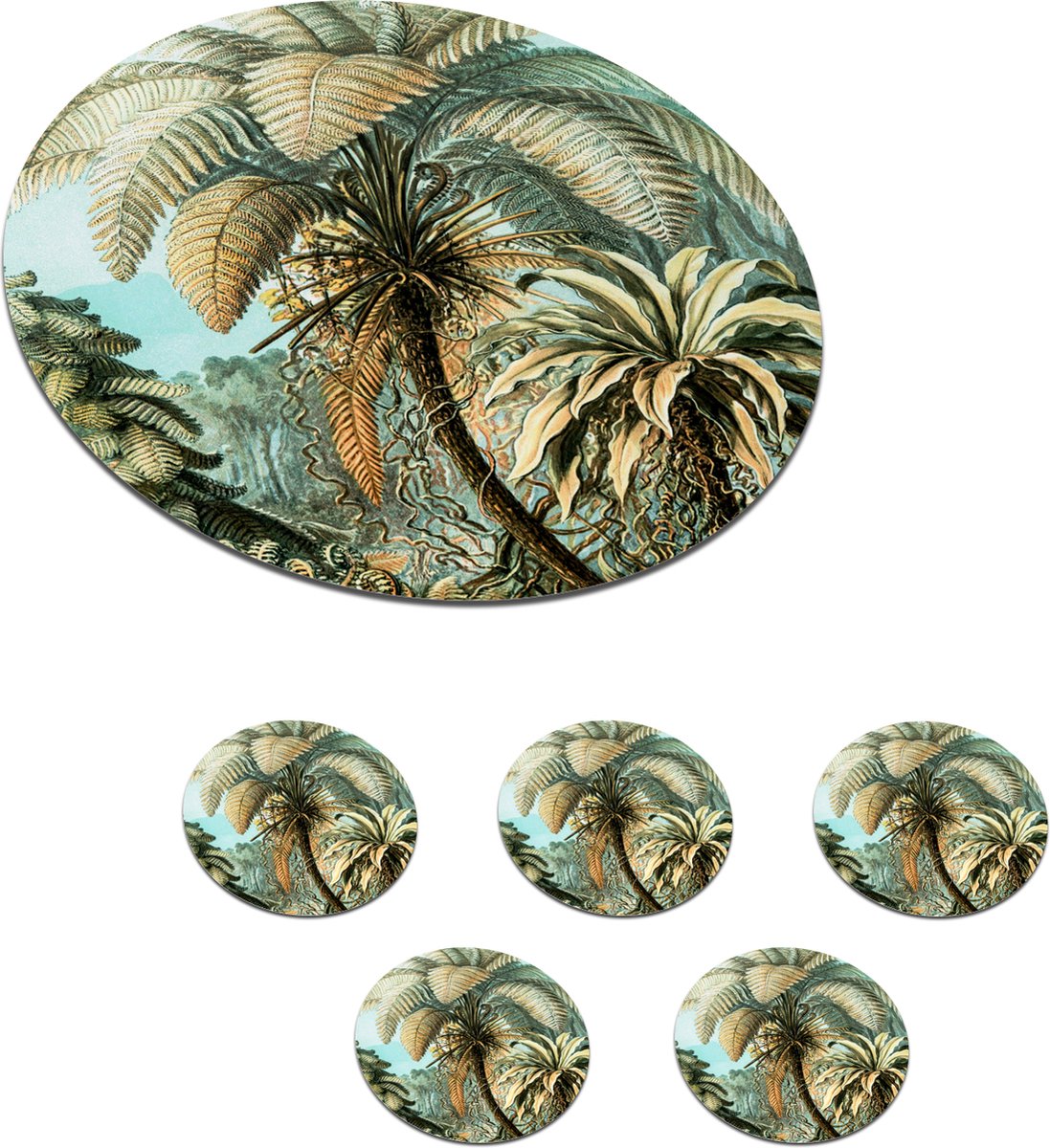 Onderzetters voor glazen - Rond - Palmboom - Ernst Haeckel - 10x10 cm - Glasonderzetters - 6 stuks