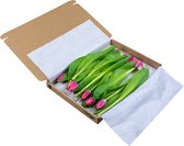 Tulpen multicolor | 10 stuks - Brievenbuspakket
