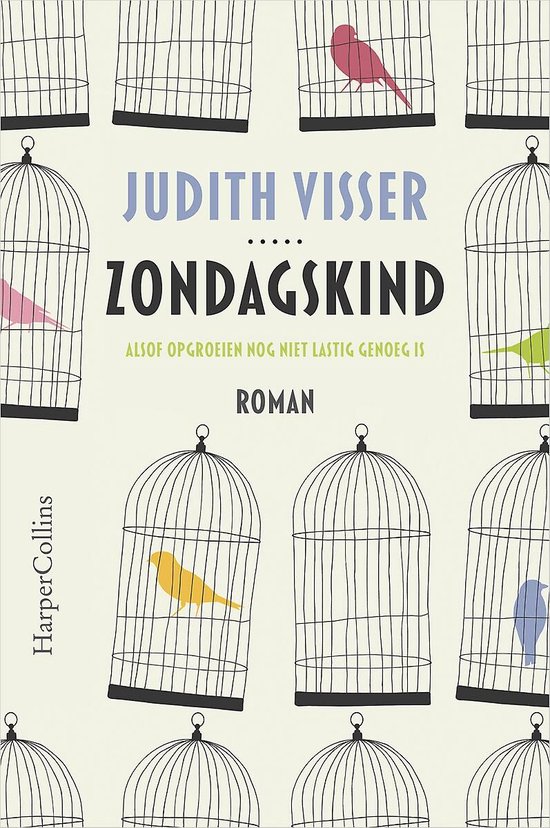 Boek cover Zondagskind van Judith Visser (Onbekend)
