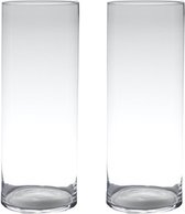 Set van 2x stuks transparante home-basics Cylinder vorm vaas/vazen van glas 60 x 19 cm - Bloemen/takken vaas voor binnen gebruik
