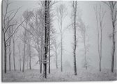 Alu-Dibond Landschappen Winters bos 50x70 cm Aluminium - Reinders