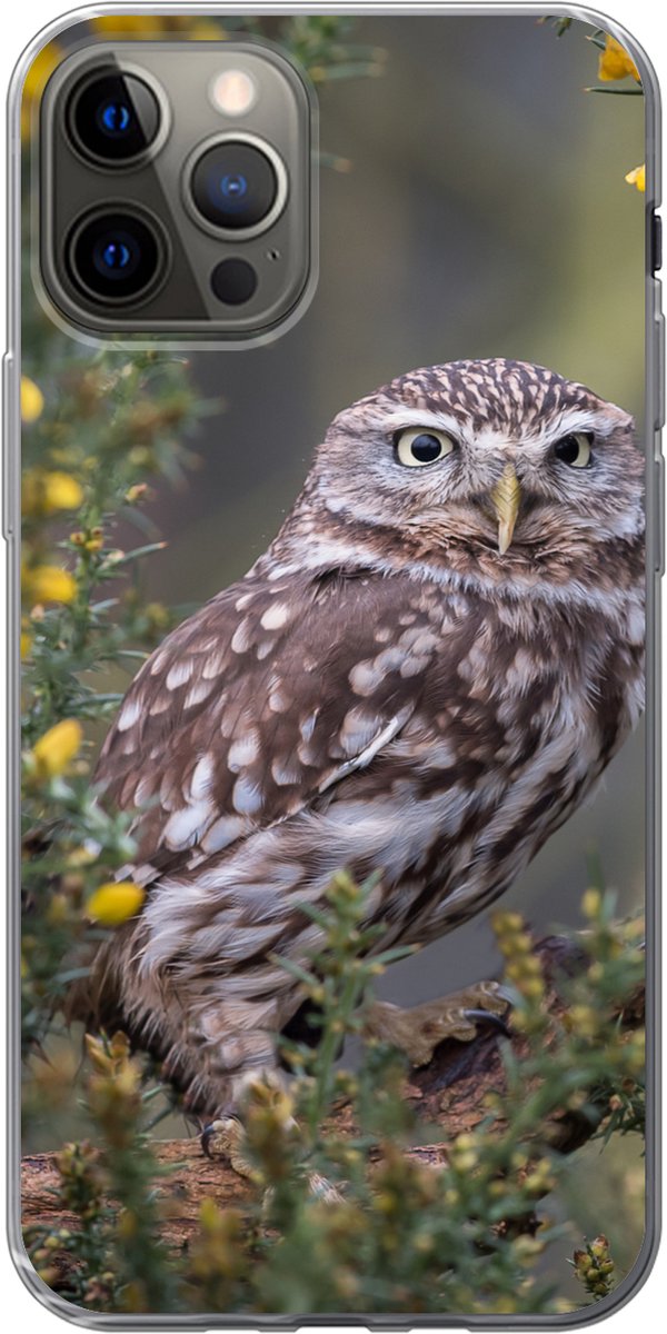 Telefoonhoesje Geschikt voor iPhone 12 Pro hoesje - Een kleine bruine uil zit naar voren te staren - Siliconen Telefoonhoesje Telefoonhoesje