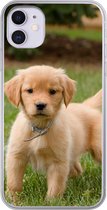Geschikt voor iPhone 11 hoesje - Golden Retriever pup in het groene gras - Siliconen Telefoonhoesje