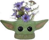 Star Wars - The Child - Wall mounted flower pot