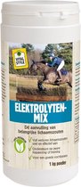 VITALstyle ElektrolytenMix -Paarden Supplementen - 1 kg