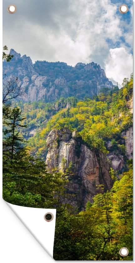 Tuinposter Natuur in de bergen in Zuid-Korea - 30x60 cm - Tuindoek - Buitenposter