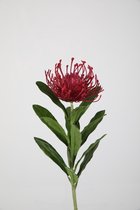Kunstbloem - Leucospermum - topkwaliteit decoratie - 2 stuks - zijden bloem - Fuchsia - Cerise - 66 cm hoog